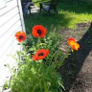 Meet your Posher, Christina